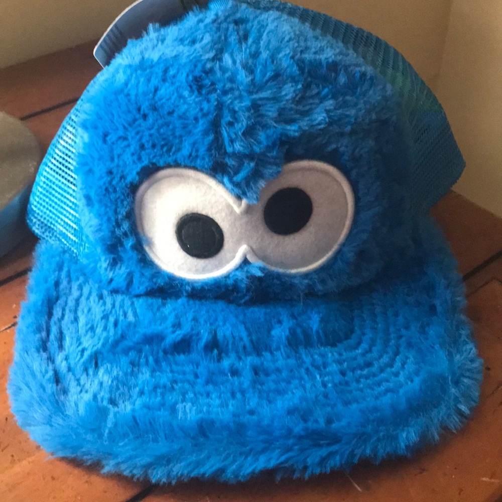 Cookie Monster Hat